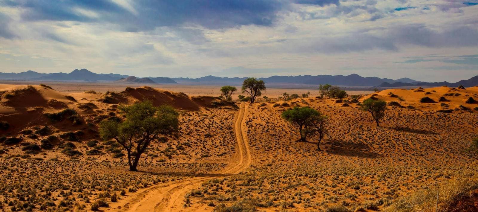 Namibia Visa